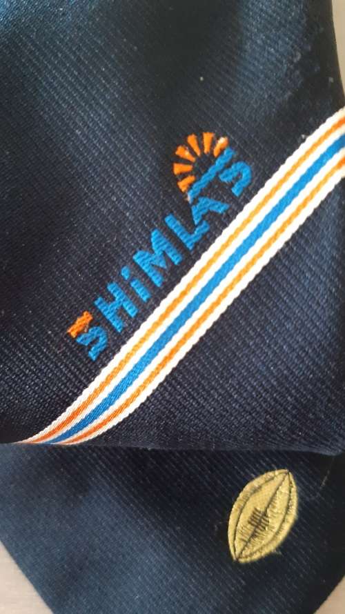 C41 - Rugby Tie - Shimlas