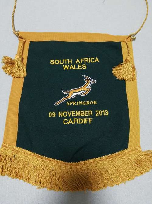 Springboks vs Wales 09.11.2013