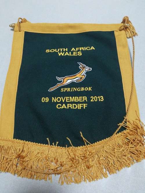 Springboks vs Wales 09.11.2013