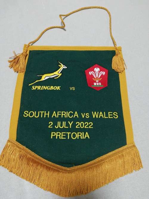 Springboks vs Wales 02.07.2022
