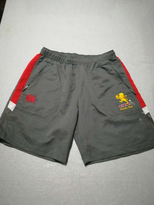 Lions Currie Cup Players shorts Size L signed