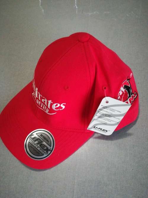 Lions Players Cap