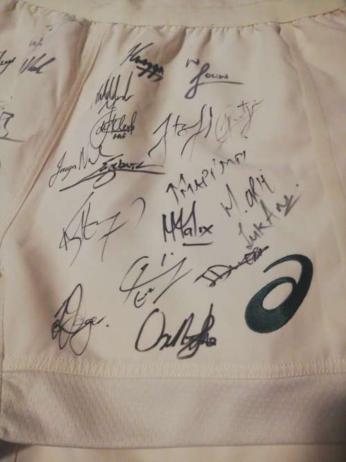 Springbok Match Shorts British Irish Lions series 2021 signed by Springbok Team!