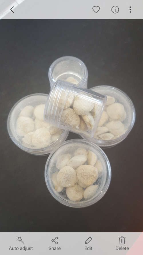 WEIGHTLOSS NUTS - NATURAL PRODUCT