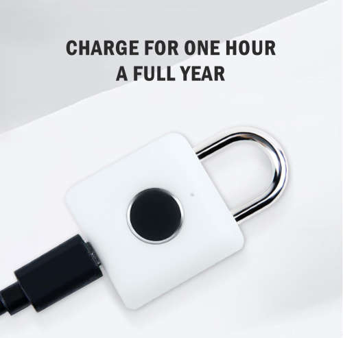 Smart Fingerprint Padlock Keyless AntiTheft Security Garden Shed Door Pad Lock