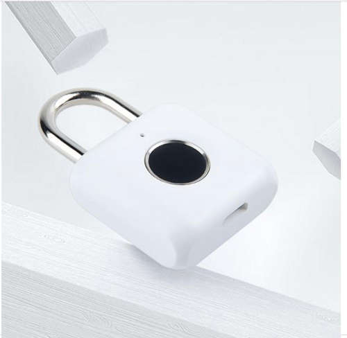 Smart Fingerprint Padlock Keyless AntiTheft Security Garden Shed Door Pad Lock