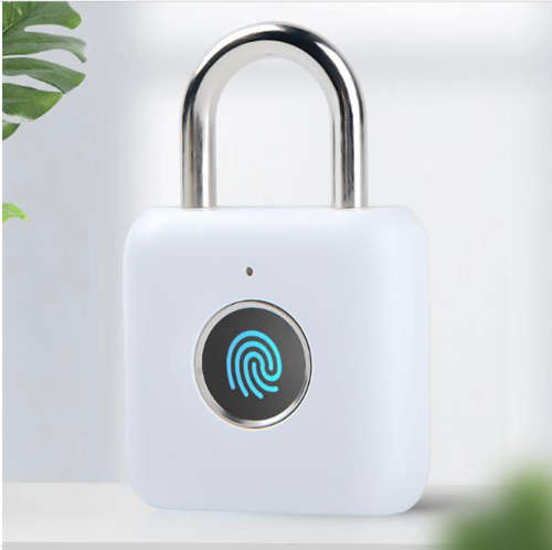 Smart Fingerprint Padlock Keyless AntiTheft Security Garden Shed Door Pad Lock
