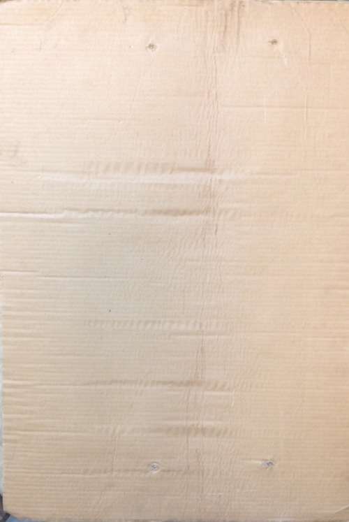 1994 Elections poster mounted on cardboard, as used