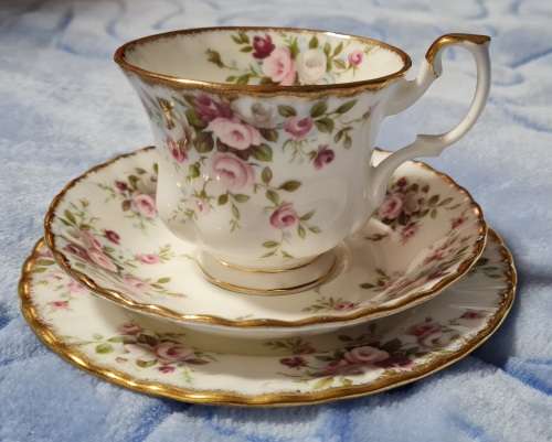 Royal Albert Cottage GardenTrio