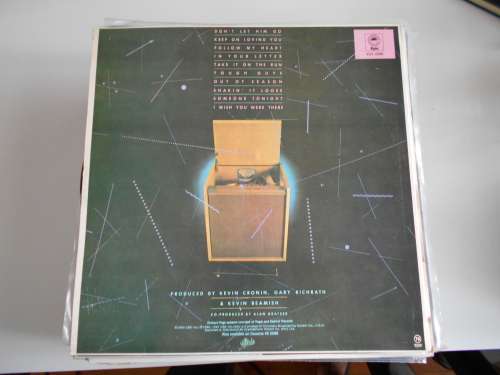 Reo Speedwagon - Hi Infidelity Vinyl LP