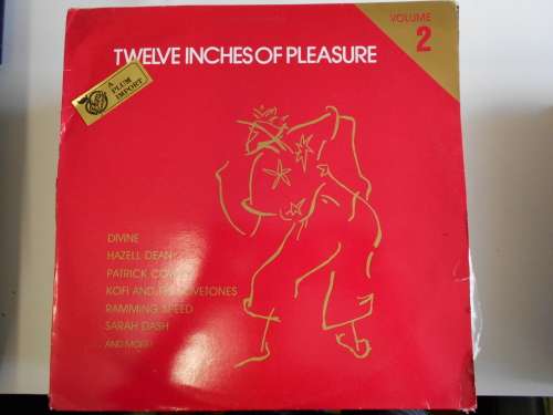 Twelve Inches of Pleasure - Various Vinyl LP