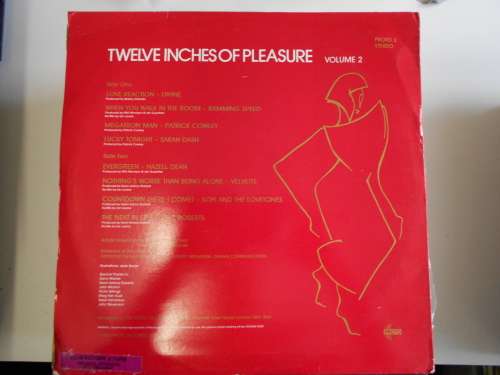Twelve Inches of Pleasure - Various Vinyl LP