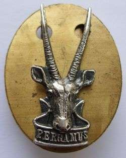 ARMY BADGE