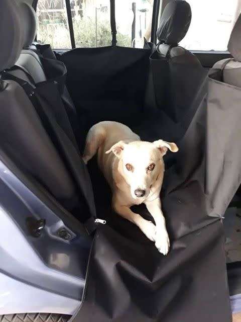 Pet car seat protector with sides