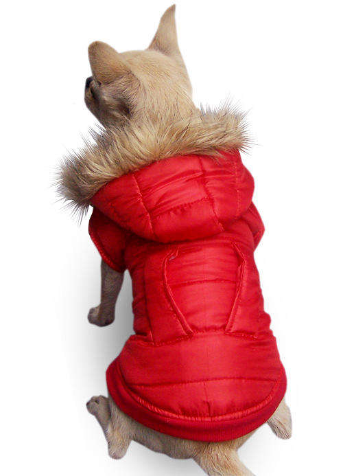 Small soft puppy bomber jacket