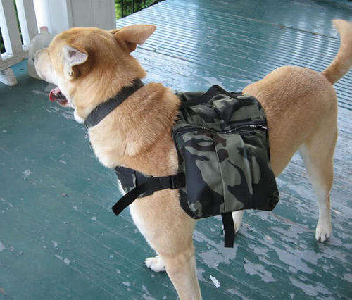 Dog backpacks