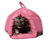 Combine accessories for your Marmoset Monkeys, Sugar Gliders, Chinchillas, Guinea Pigs, et