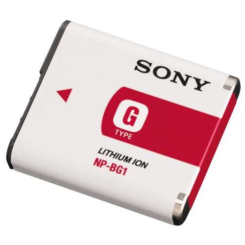 Sony Lithium Battery (model: NP-BG1)