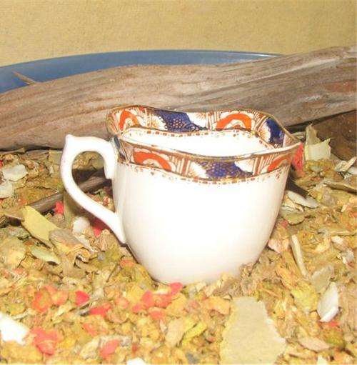 ATTRACTIVE VINTAGE WOOD AND SONS ENGLAND TEACUP - CRAzzY R1