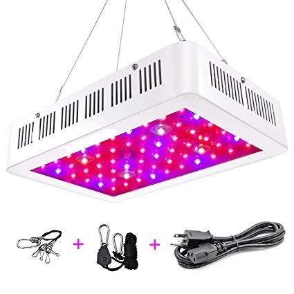 600W LED Grow Light