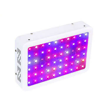 600W LED Grow Light