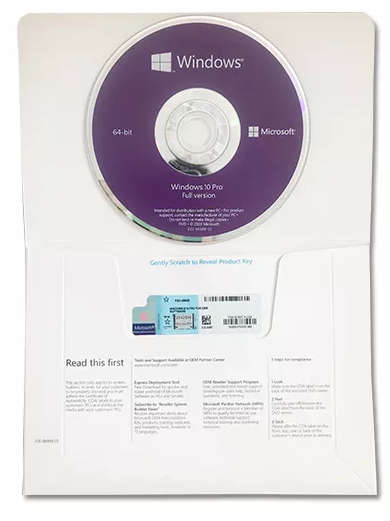 Windows 10 Professional (OEM DVD)