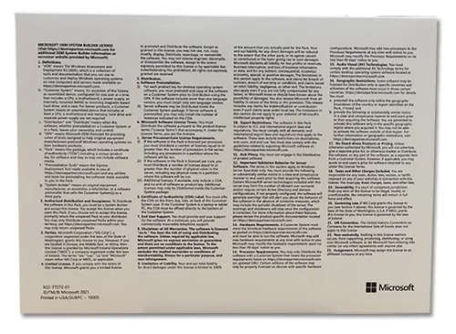 Windows 11 Professional