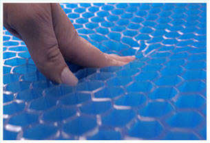 Egg support sitting Cushion