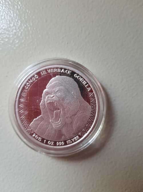 Congolese silverback gorilla