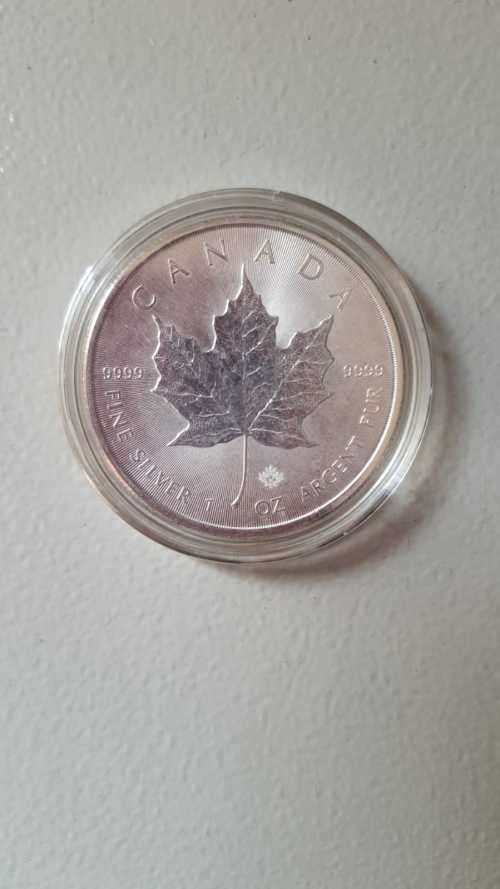 2015 silver maple coin