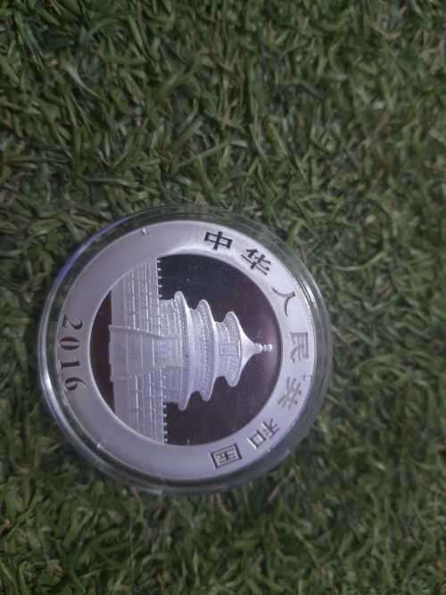Chinese panda 30g coin