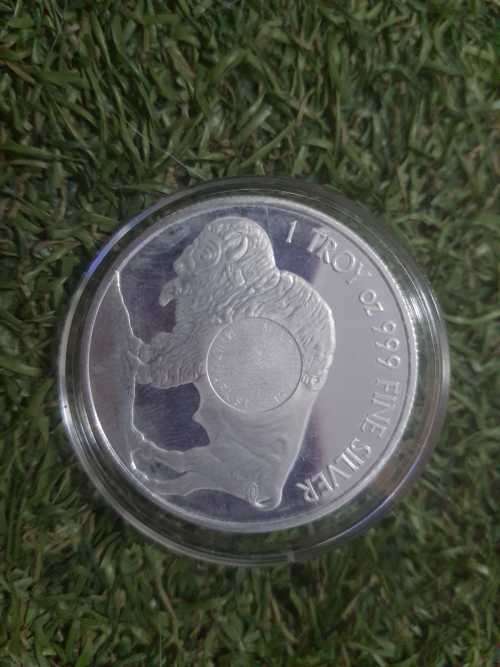 American silver buffalo