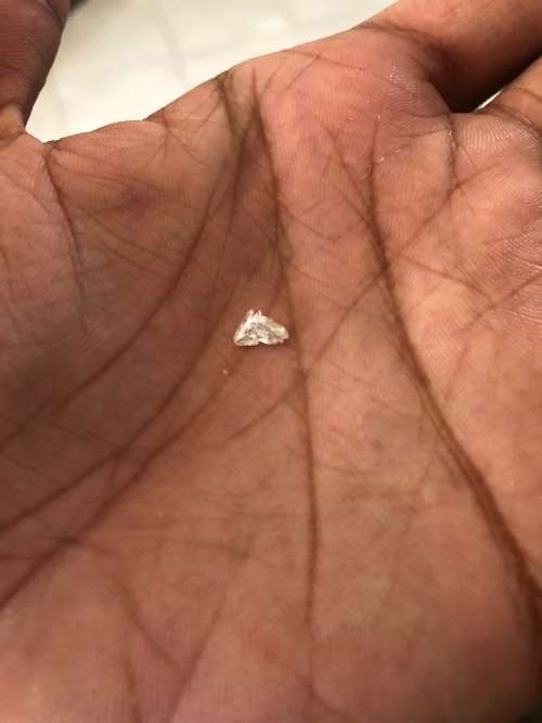 Most Rare Cut Diamond In The World Limited Produced 0,37ct Si1 HORSE HEAD Cut Magnificent