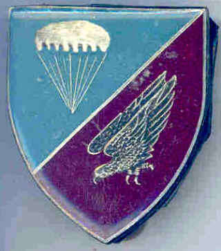 ORIGINAL SWA Parachute Regiment Pocket Flash