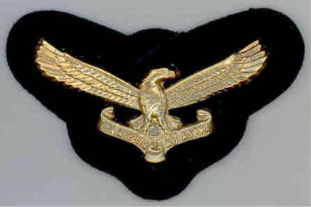 SAAF Officers Cap Badge in Virtually Mint Condition