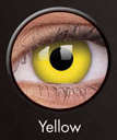 Original ColourVUE Contacts - Yellow - Halloween