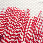 Kids Party Decor Accessories - STRAWS