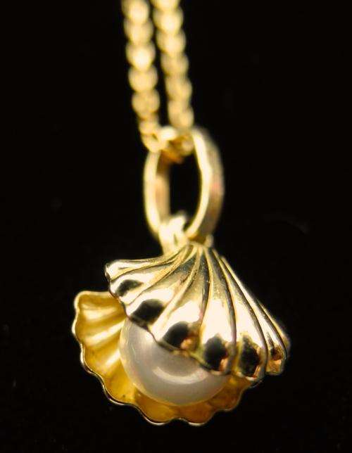 Delicate Gold Necklace with Gold Shell and Pearl from Browns Jewellers