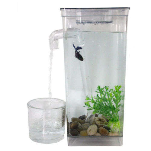 My Fun Fish Self Cleaning Tank Complete Aquarium Setup Brand