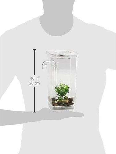 My Fun Fish Self Cleaning Tank Complete Aquarium Setup Brand