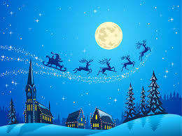 9M 3D WHITE LED  Deer & Sleigh Outdoor Christmas Reindeer Light