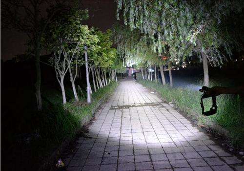 3x Cree T6 ZOOM Led Headlamps 2000lm Headlight Waterproof High Power Light