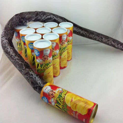 Whole  person  potato  snake