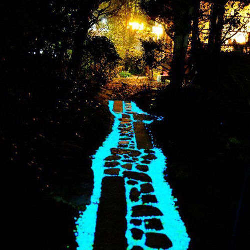 Wholease --Magical Garden Aquarium Fish Tank  Decor Glow in the Dark Pebble Stone Luminous Gravel