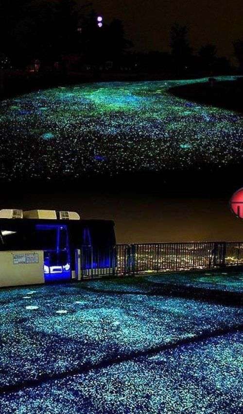 Wholease --Magical Garden Aquarium Fish Tank  Decor Glow in the Dark Pebble Stone Luminous Gravel