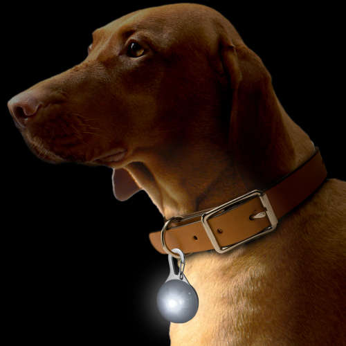 Dog Puppy Pet Collar Pendant LED Safety Clip-On Night Light Flashing