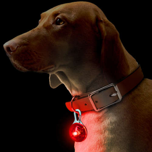 Dog Puppy Pet Collar Pendant LED Safety Clip-On Night Light Flashing