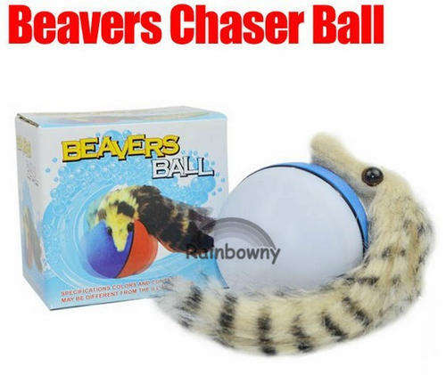 electronic beaver ball in water