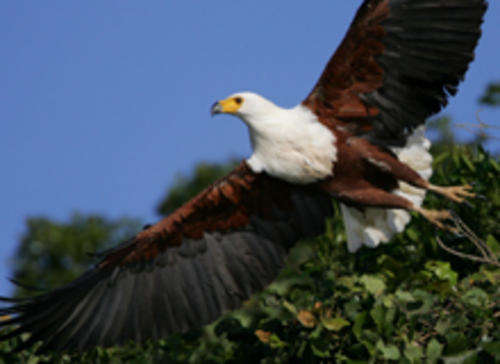 ST. LUCIA LAKEVIEW CABANAS 7-14 DEC 2012 - SAVE MORE THAN 50%