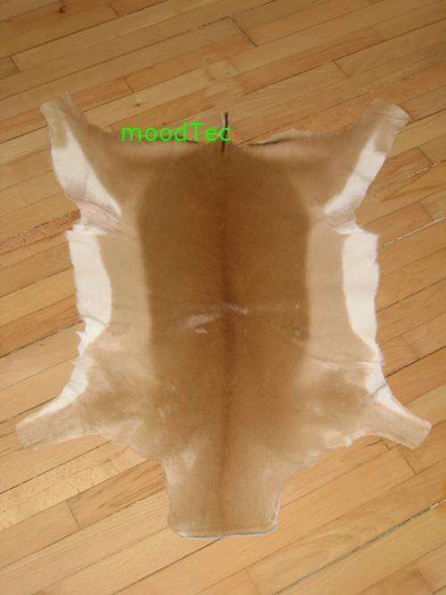 Tanned Impala Hide - Great For Decor Rugs (High Grade A) (In Stock)